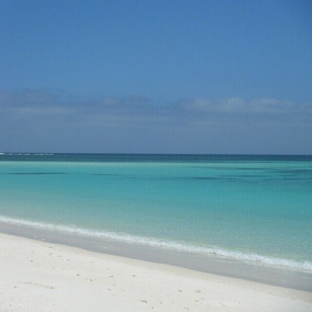 Heres one to cure Monday Morning blues! This is Turquoise Bay in Cape Range National Park, WA.
The whole park runs parallel to Ningaloo Reef, Australias largest fringing reef! Snorkeling is accessible from the beach throughout the park! You can even plan your visit for the right time of year to swim with the famous whale sharks or to witness mass coral spawning! #blue
