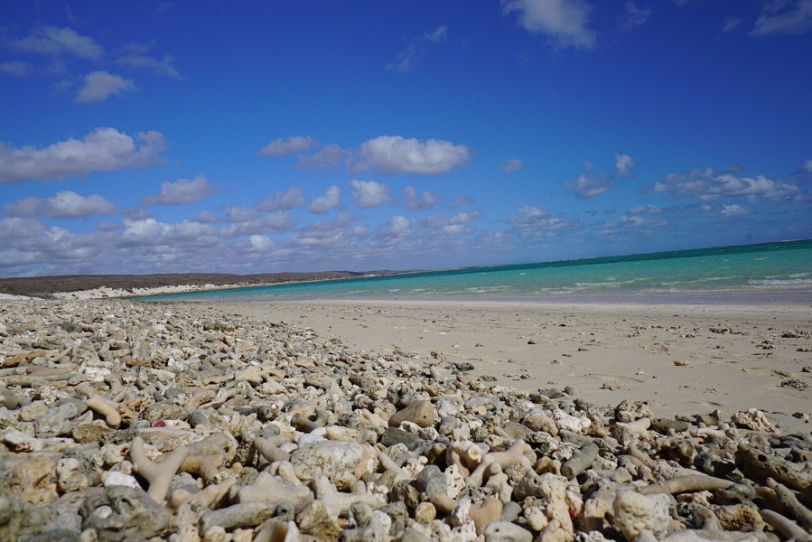 Known as one of Australia's best beaches, and amongst the top twenty beaches in the world, Turquoise Bay is the perfect spot to spend an afternoon relaxing, swimming and snorkelling located approximately 63 kilometres from Exmouth. 
#blue
#BeachBound