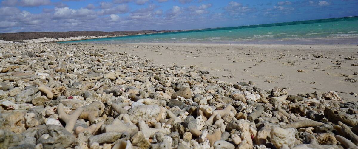A rocky beach with turquoise water and a clear sky.