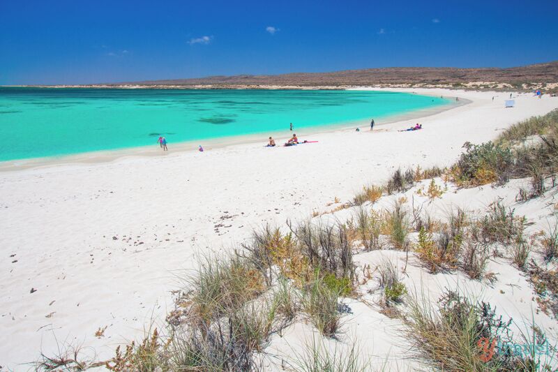 They call it "Turquoise Bay" for a reason! This beach is close to Exmouth in the Cape Range National Park along the Ningaloo Reef in Western Australia.

It's a top spot for snorkeling and a great swimming spot for the kids as the water is so shallow and clear. Add it to your Western Australia bucket list!