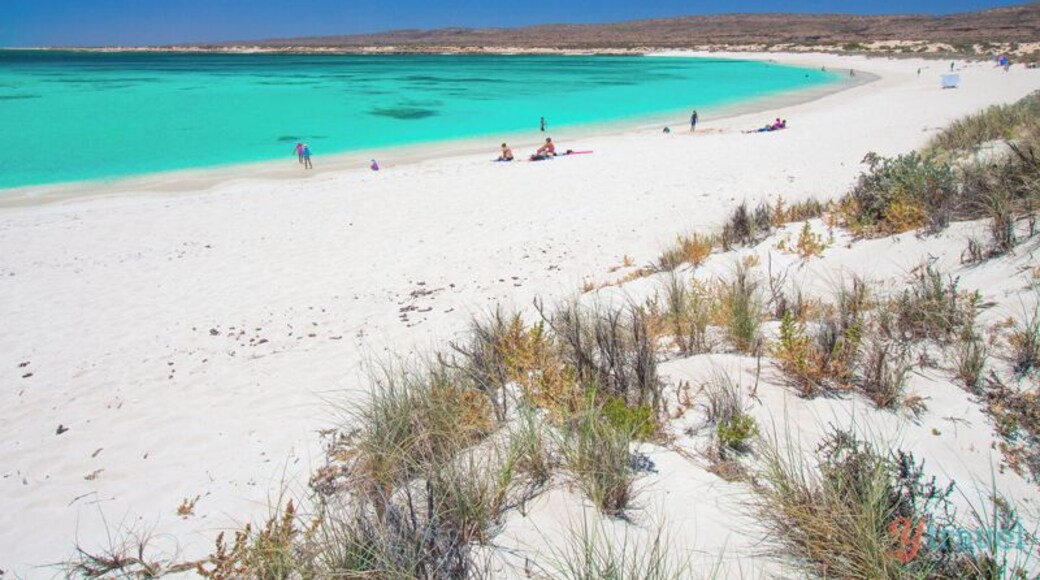 They call it "Turquoise Bay" for a reason! This beach is close to Exmouth in the Cape Range National Park along the Ningaloo Reef in Western Australia.
It's a top spot for snorkeling and a great swimming spot for the kids as the water is so shallow and clear. Add it to your Western Australia bucket list!