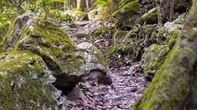 So worth the effort to hike down to the falls. So pretty #nature