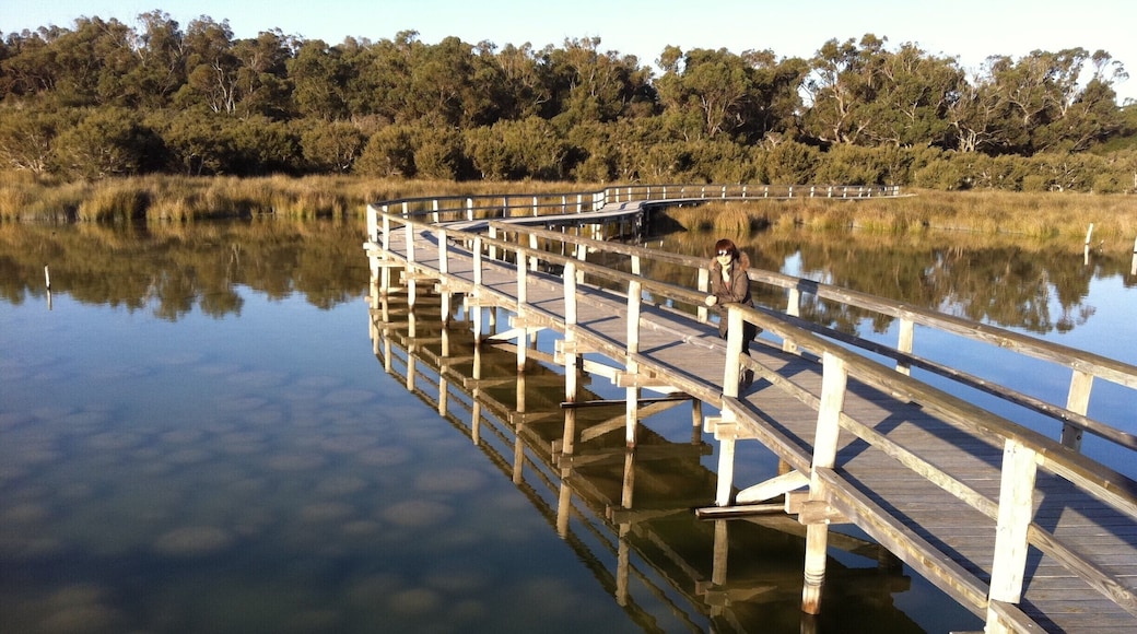 A specially designed viewing platform allows you to walk over the top of these fascinating structures and enjoy captivating views of the natural surroundings.