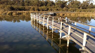A wooden bridge over calm water, surrounded by dense trees.