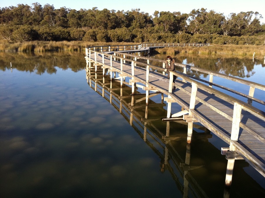 A specially designed viewing platform allows you to walk over the top of these fascinating structures and enjoy captivating views of the natural surroundings.
