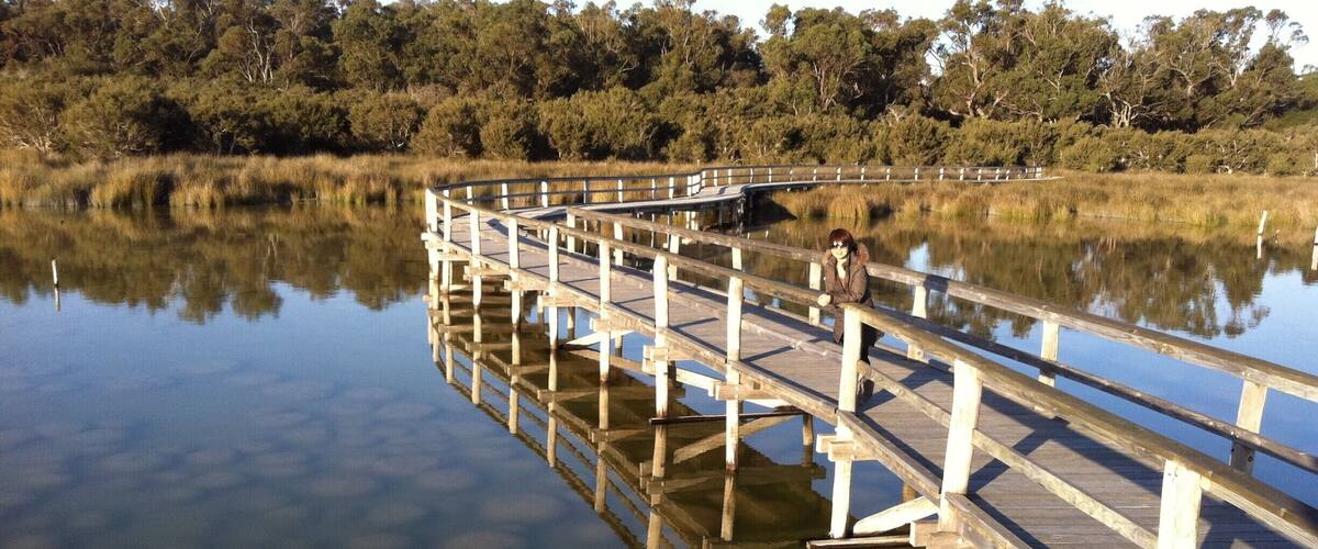 A wooden bridge over calm water, surrounded by dense trees.