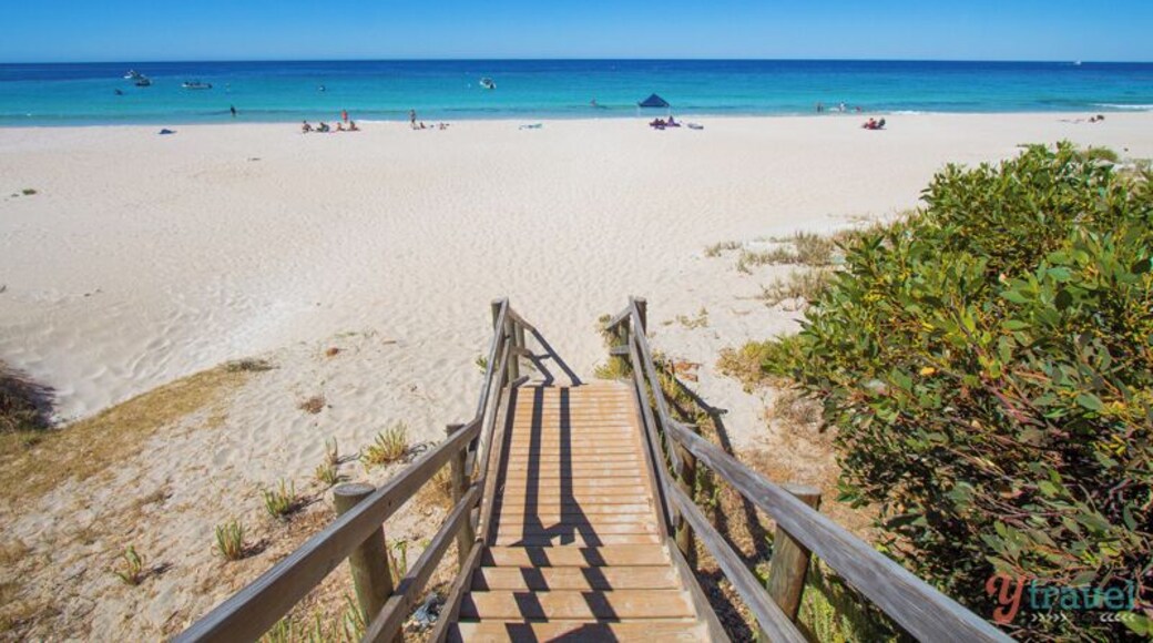 Eagle Bay in yet another beautiful and expansive beach in the Margaret River region. I recommend having a morning swim or beach walk here, then hitting up the nearby Eagle Bay Brewery for lunch. Yummo!