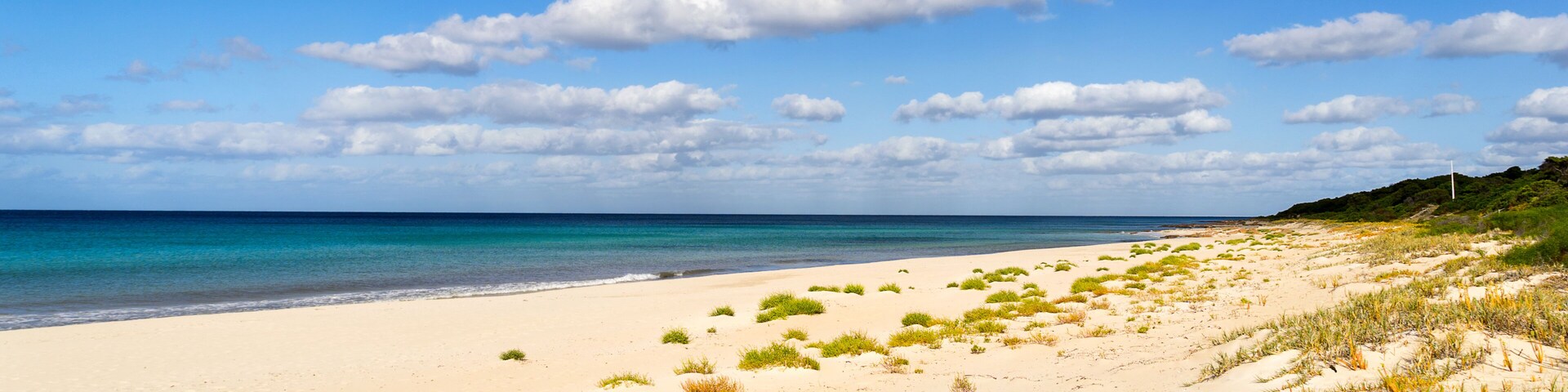 A sandy beach with green vegetation and a clear blue sky.