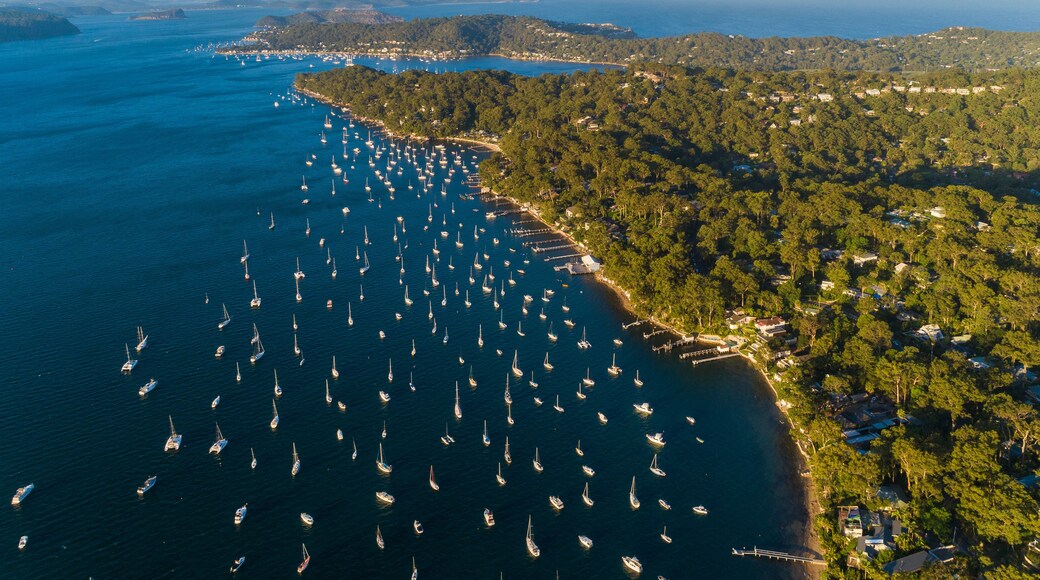 An aerial view of a coastal area with numerous sailboats anchored in the water, surrounded by dense green forests and a clear blue sky.