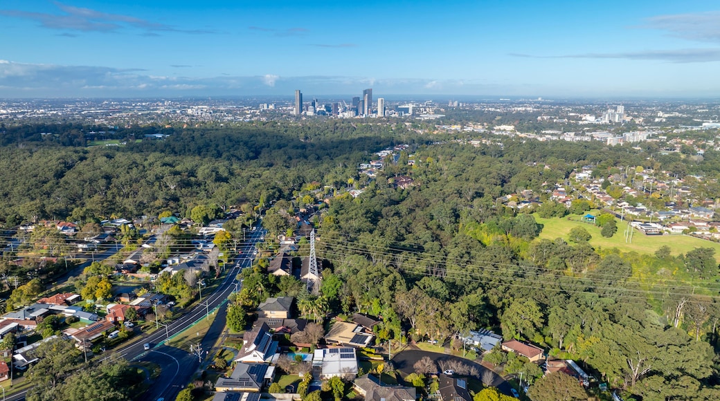 A cityscape with dense urban development, a prominent skyline with high-rise buildings, and a lush green area with residential housing.