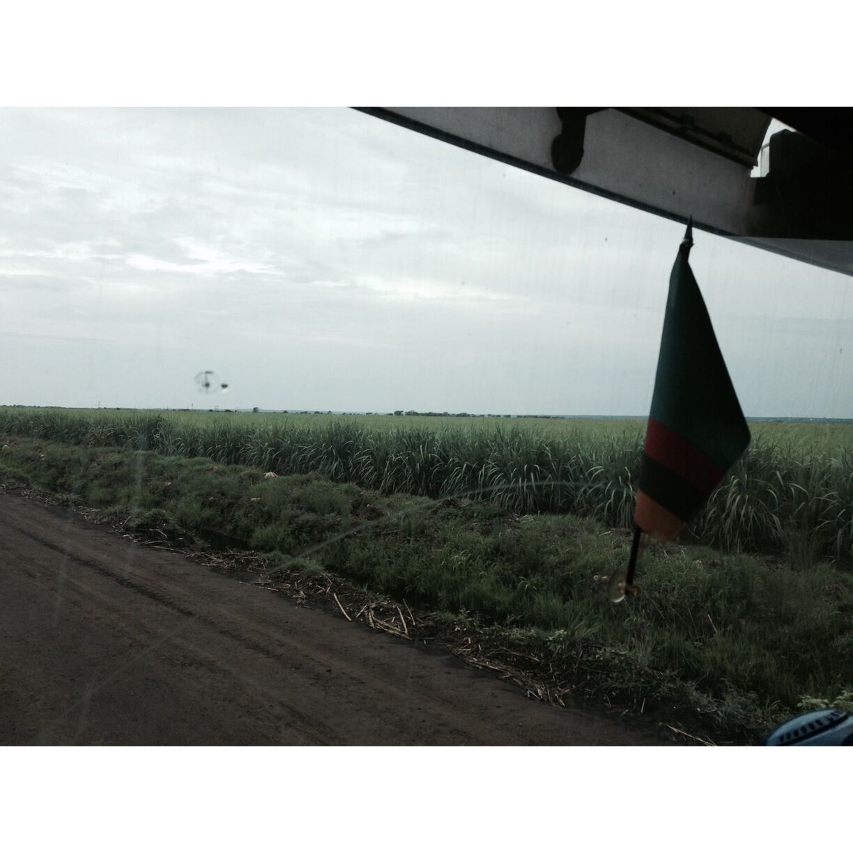 A rural landscape with a dirt road, green vegetation, and a distant airplane in the sky.