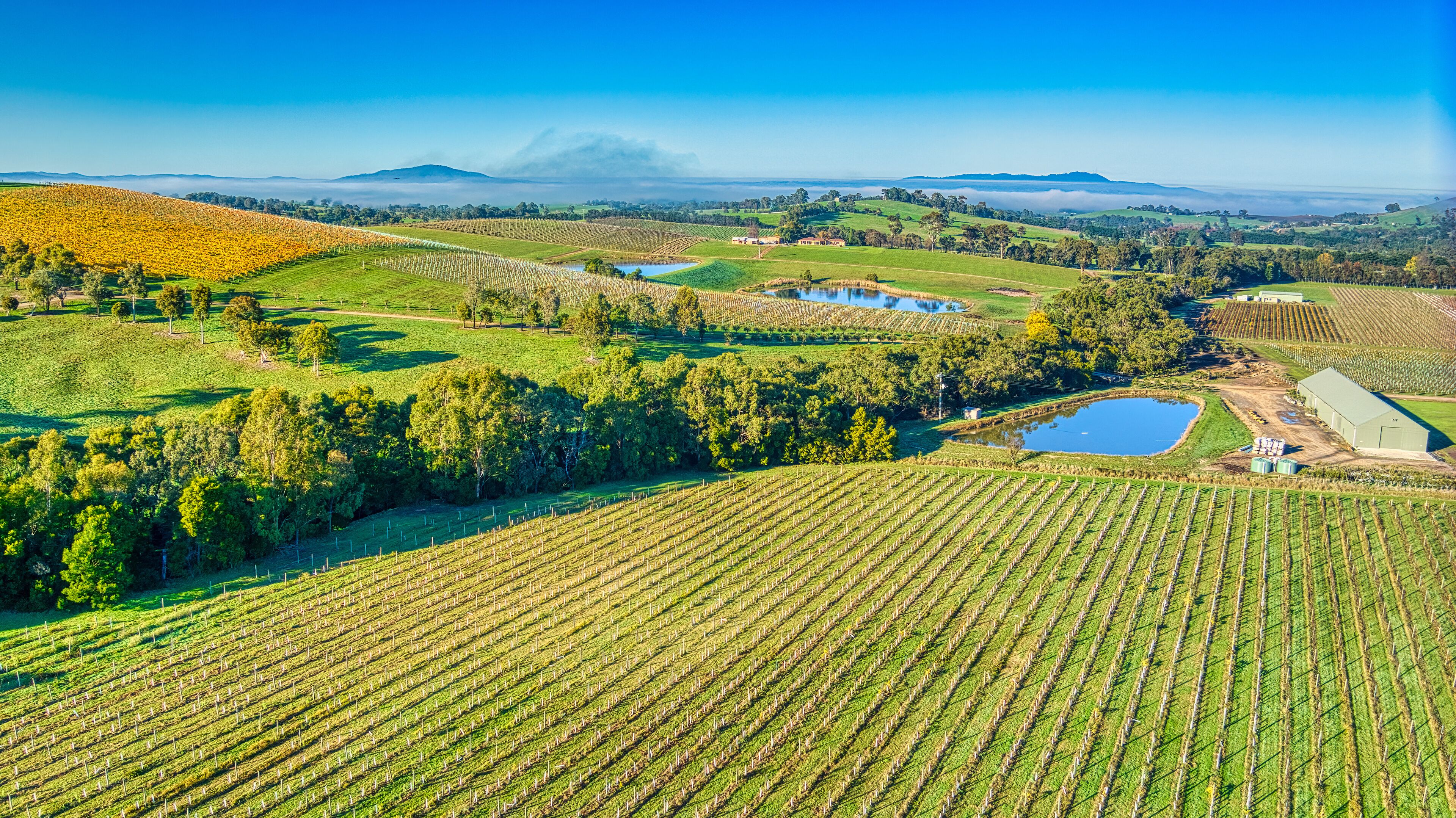 جسر مونجانس