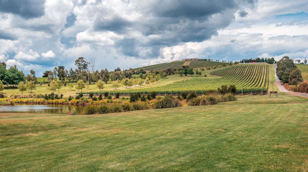 جسر مونجانس