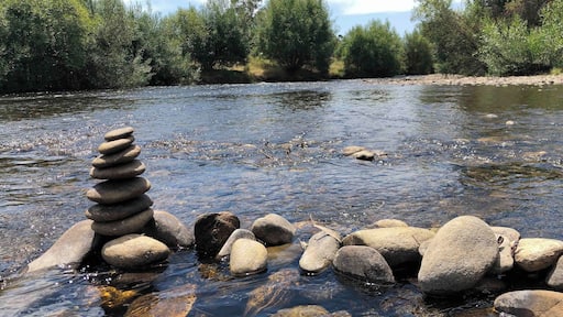 Sorry for posting so many shots of this bird but I really was dumbfounded by the colors and beauty of this duck.