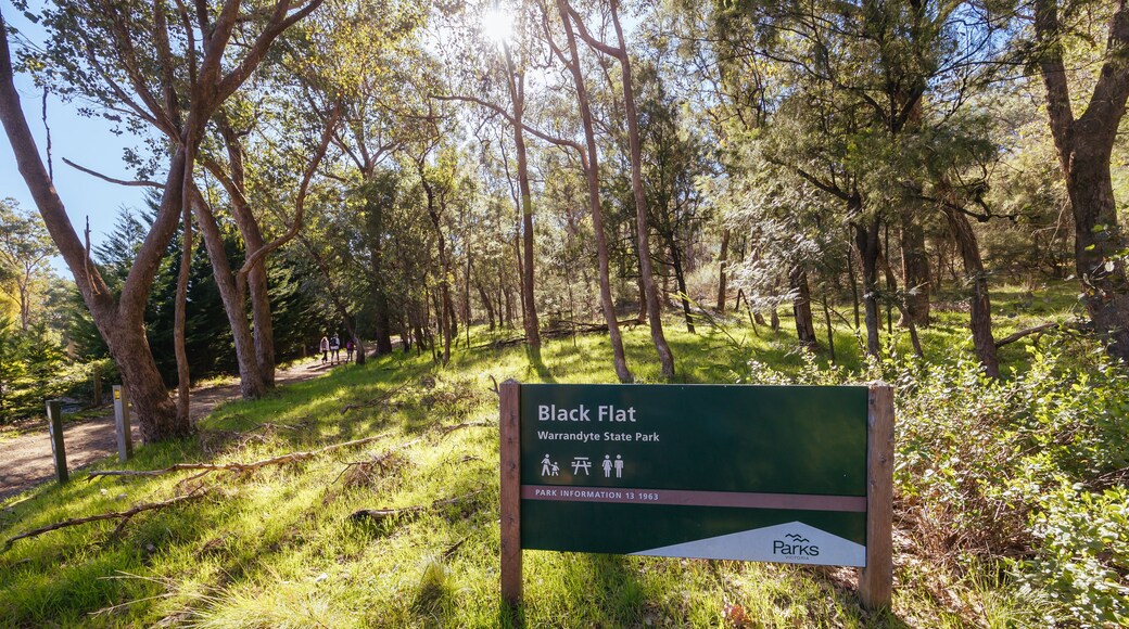 North Warrandyte