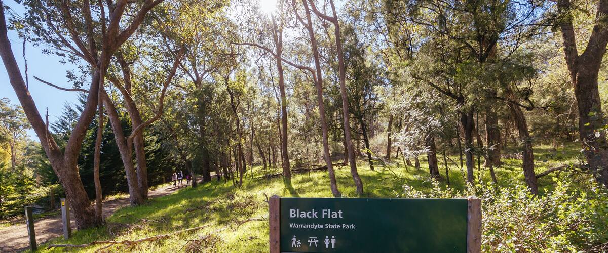 A sign for Black Flat in Warrandyte State Park with symbols indicating park information and a date.