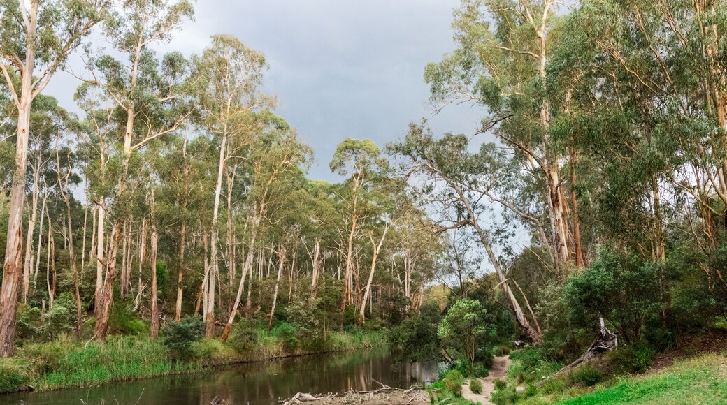 นอร์ทวาร์รันไดท์