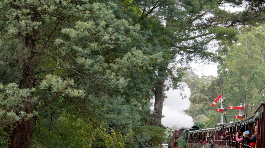 メンジーズ クリーク