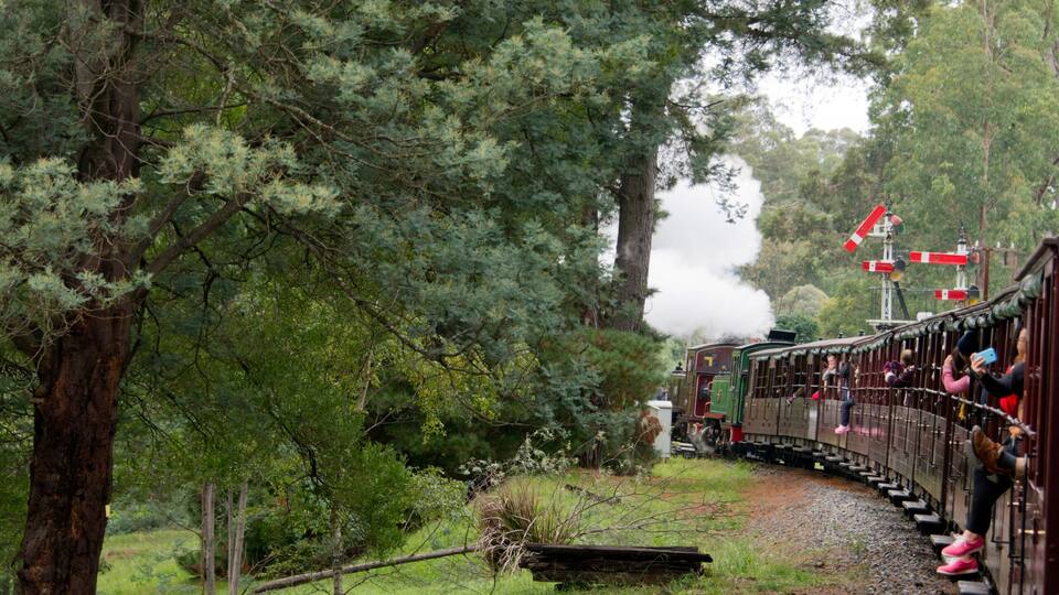 Eine Schmalspurbahn schlängelt sich durch ein bewaldetes Gebiet, mit Reisenden an Bord.