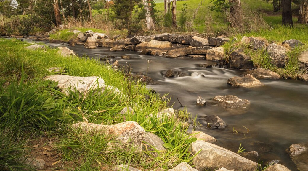 This reserve is a registered Aboriginal site originally used as a gathering place for the Kurnai Brayakoloong clan. There are information signs about this tribe's culture along a small track beside the Tarago River.
#kurnai #aborigine #robinhood #gippsland #victoria #australia
