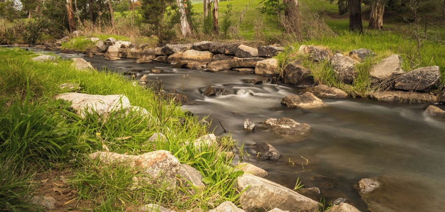 This reserve is a registered Aboriginal site originally used as a gathering place for the Kurnai Brayakoloong clan. There are information signs about this tribe's culture along a small track beside the Tarago River.
#kurnai #aborigine #robinhood #gippsland #victoria #australia
