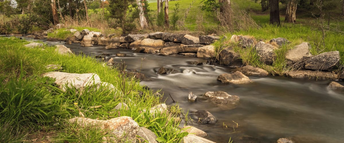 A flowing river with rocks and greenery.