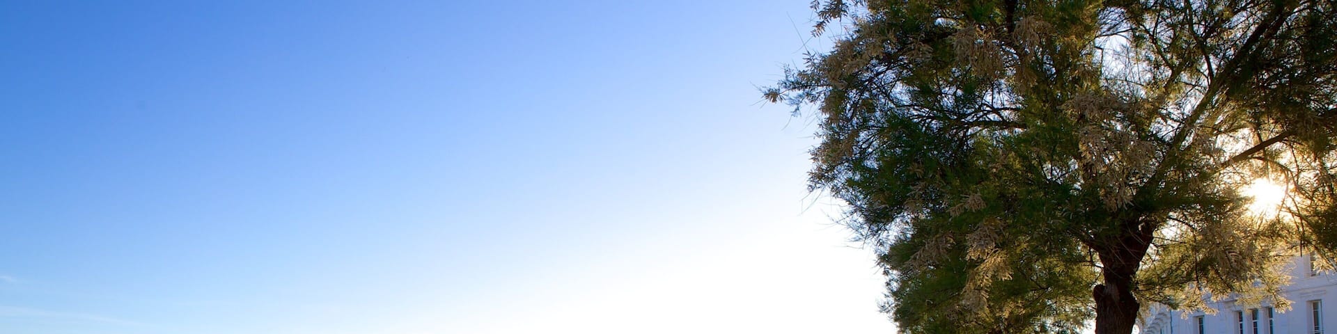 Provence featuring a coastal town, a sandy beach and street scenes