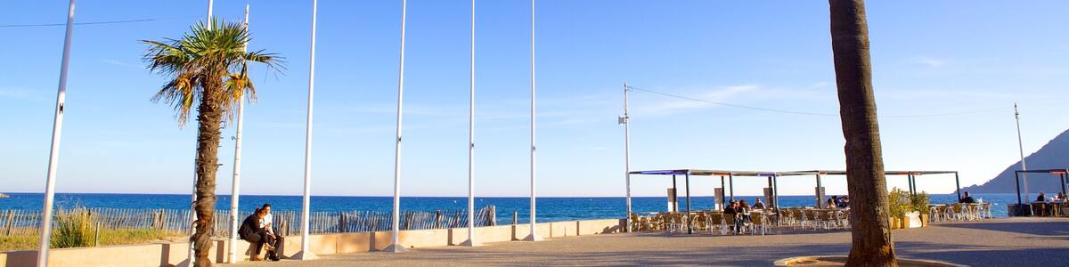 Provence qui includes scènes tropicales