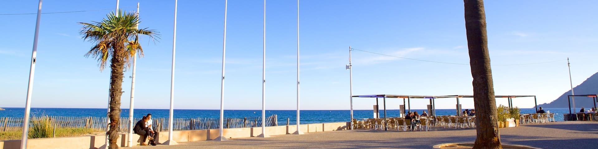 プロヴァンス 表示 常夏の風景