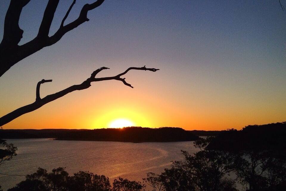 A sunset over a body of water with silhouetted trees and a prominent bare tree branch.