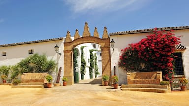 Entrada a la Hacienda de Pata de Hierro en el Aljarafe, VIllanueva del Ariscal, provincia de Sevilla, España.