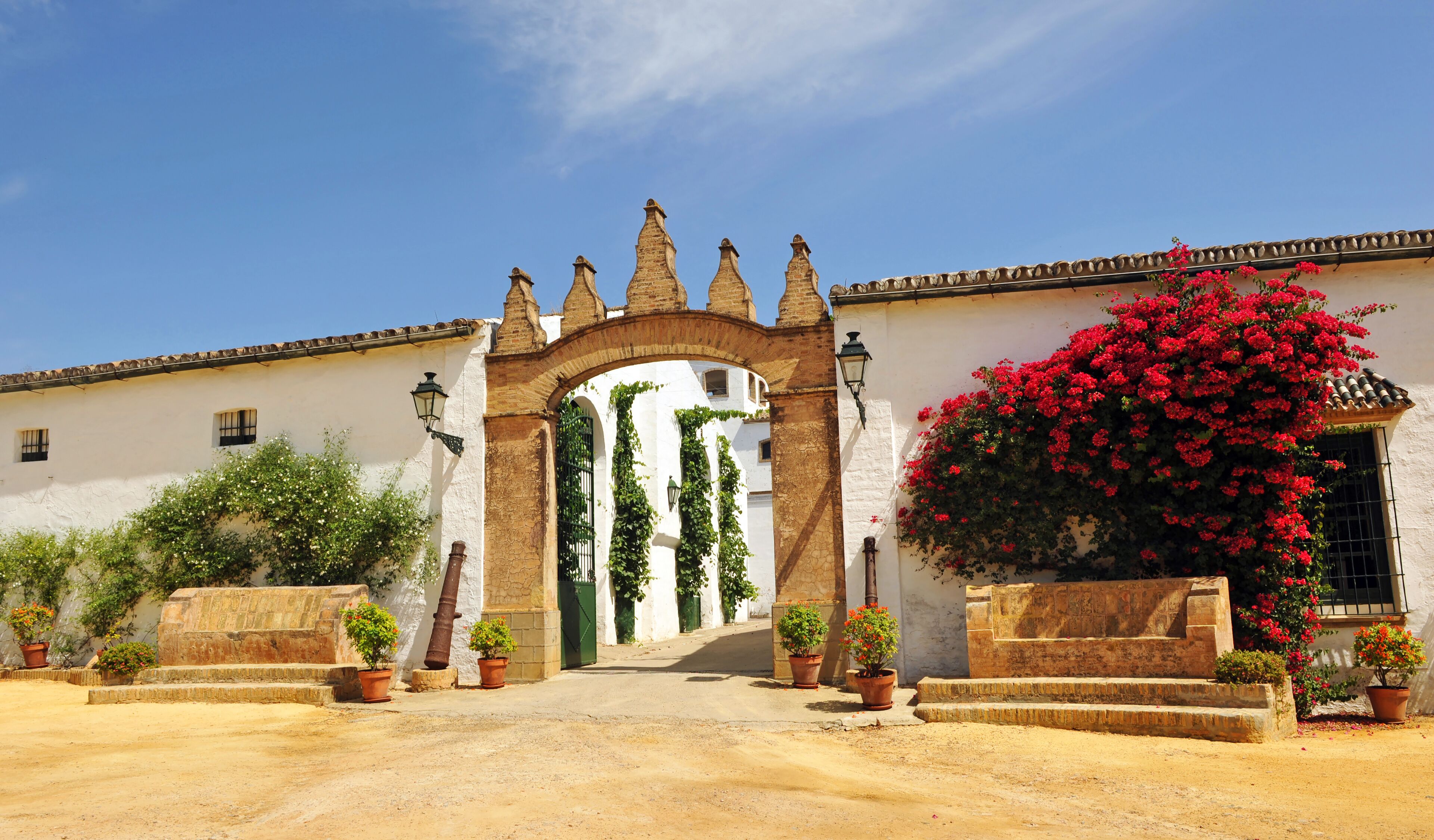 A white building with a large arched entrance, surrounded by potted plants and flowering bushes.