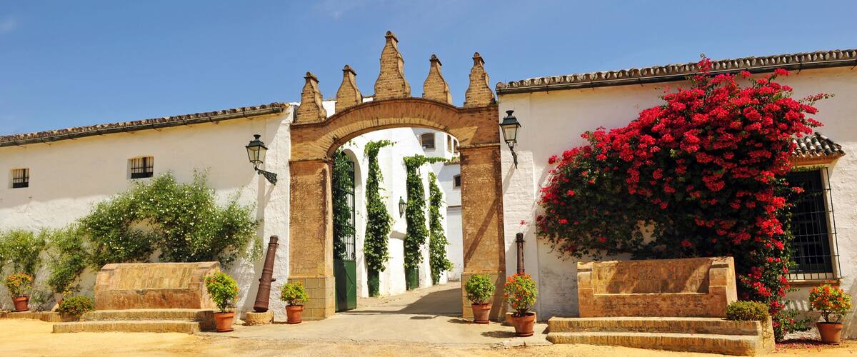 A white building with a large arched entrance, surrounded by potted plants and flowering bushes.