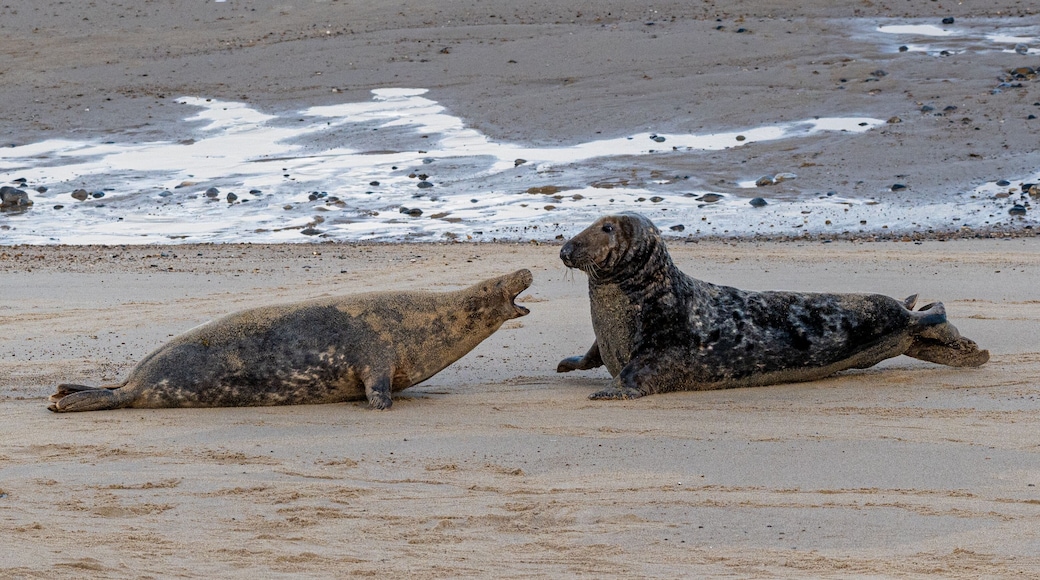 North Norfolk District
