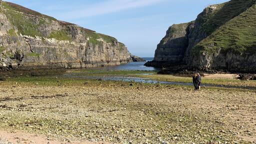 At the entrance of Smoo cave .. looking towards the water inlet
No filter view ...