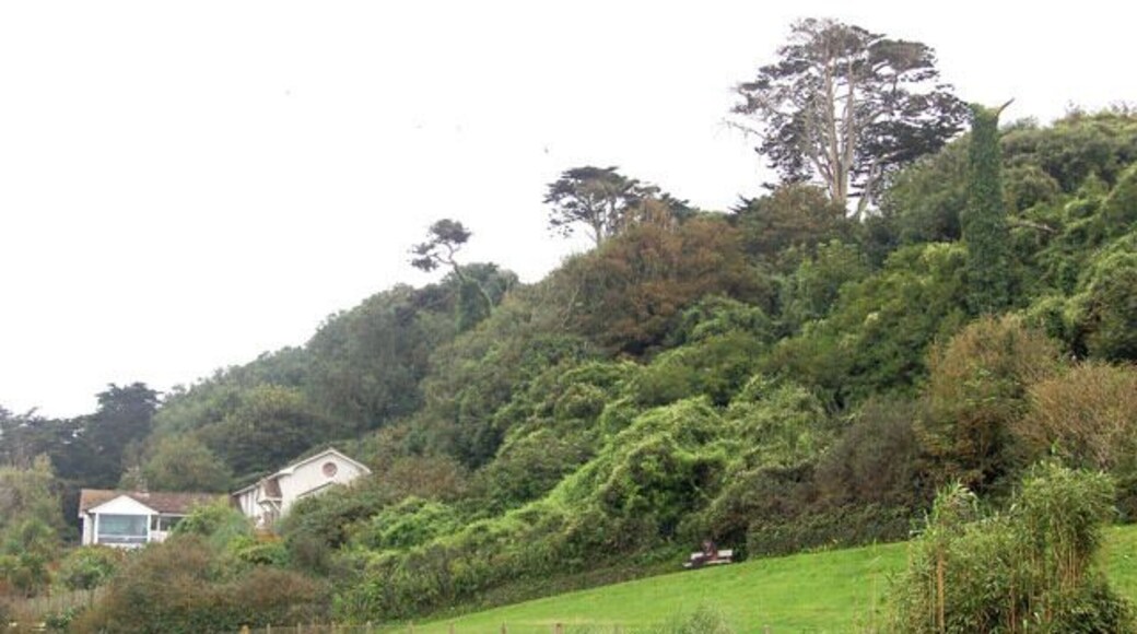 Coronation Gardens, Polzeath