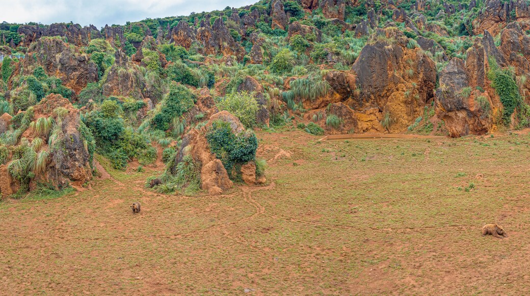 Paisaje panorámico, del zoo de Cabárceno, con osos pardos jugando, a lo lejos en Cantabria, España, verano de 2020