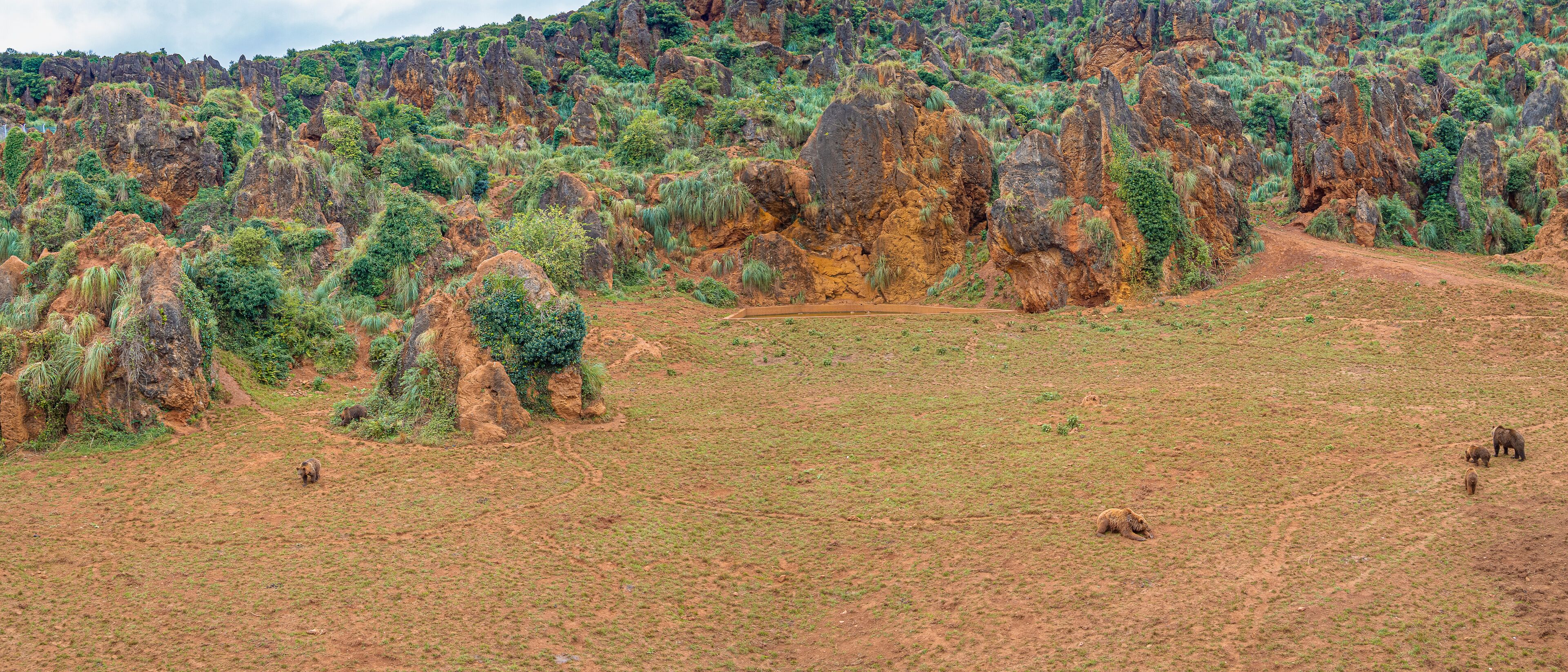 A rugged landscape with rocky outcrops and sparse vegetation.