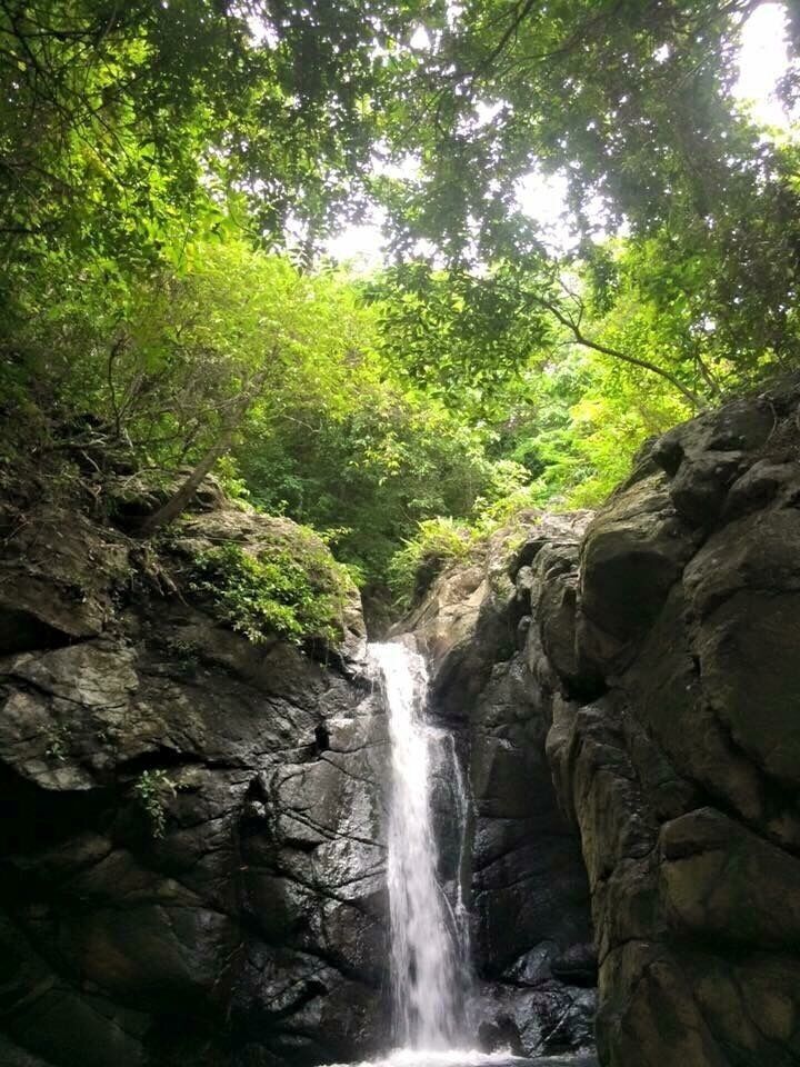 Part of my Real Quezon Exploration. Another newly discovered falls. They call this as "Nonok Falls". From the highway you will trek for about 15mins. before you reach this falls. 
#exploretheunexploredworld #nonokfalls #real #quezon 