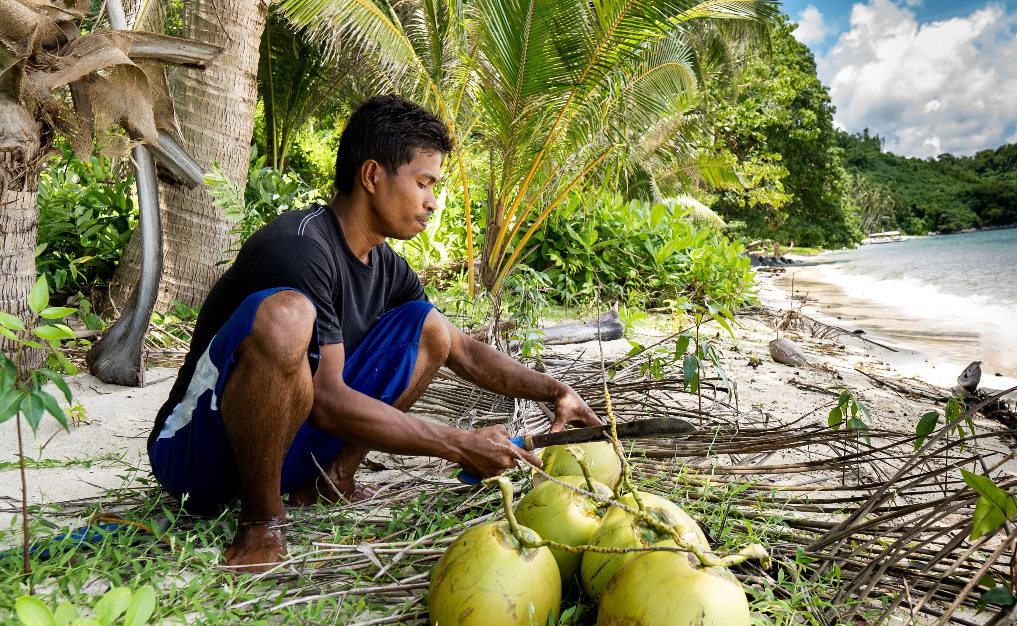 young asian fisherman opening a coconut on a tropical island in the philippines. real people, traditional job