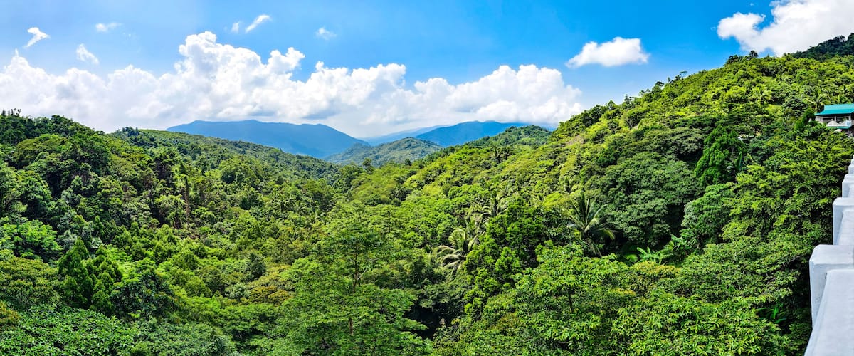 A lush green valley with dense forest and a mountain range in the background.