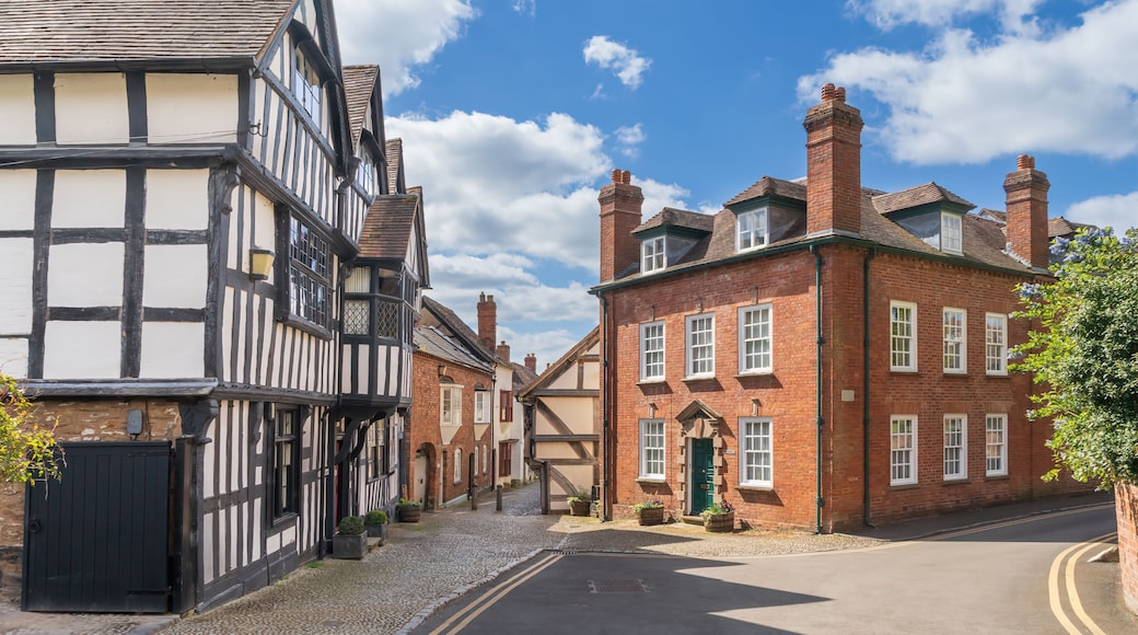 A street lined with traditional half-timbered houses and red brick buildings.