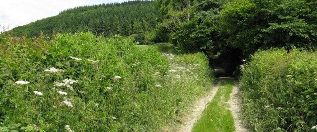 Metsäiseen alueeseen johtava sorapolku, jonka varrella on tunnelin sisäänkäynti.
