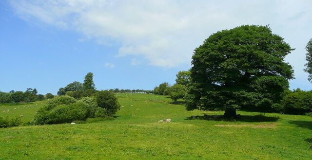 Pasture land south of Pant Looking north-west towards Willey House (unseen).