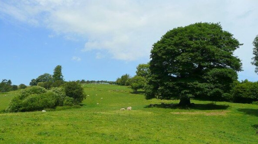 Pasture land south of Pant Looking north-west towards Willey House (unseen).