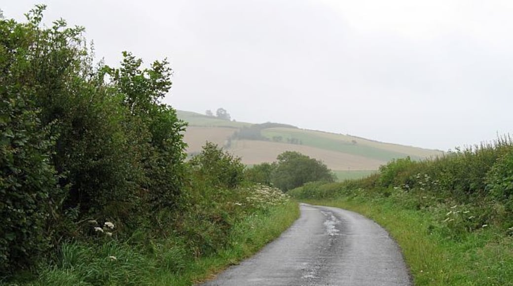 Road from Lingen Road up from Lingen to Stonewall Hill, Willey.