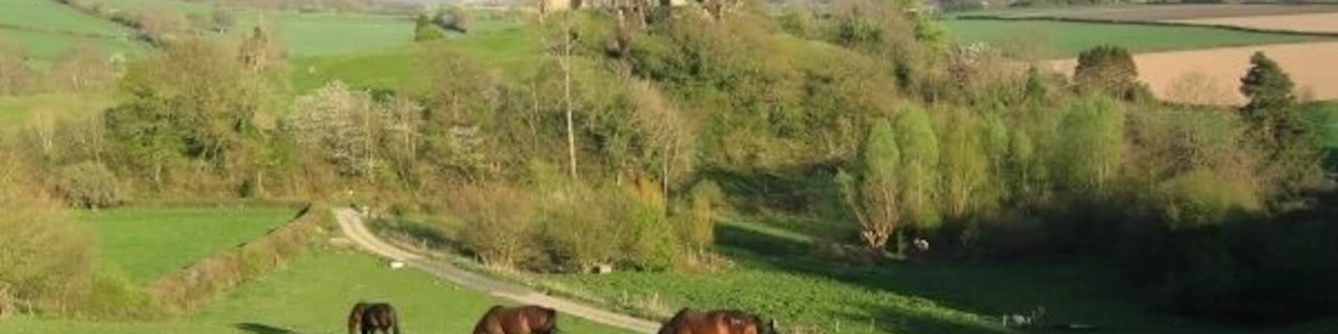 Stapleton Castle, Herefordshire