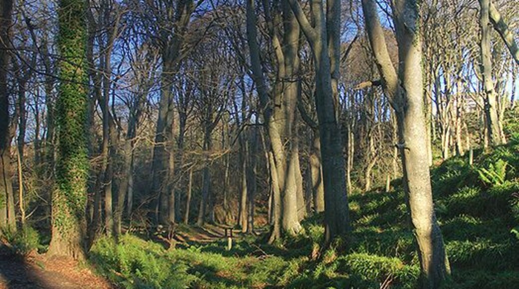The footpath through Colby Glen A good path takes a safe route through this steep wooded gorge.