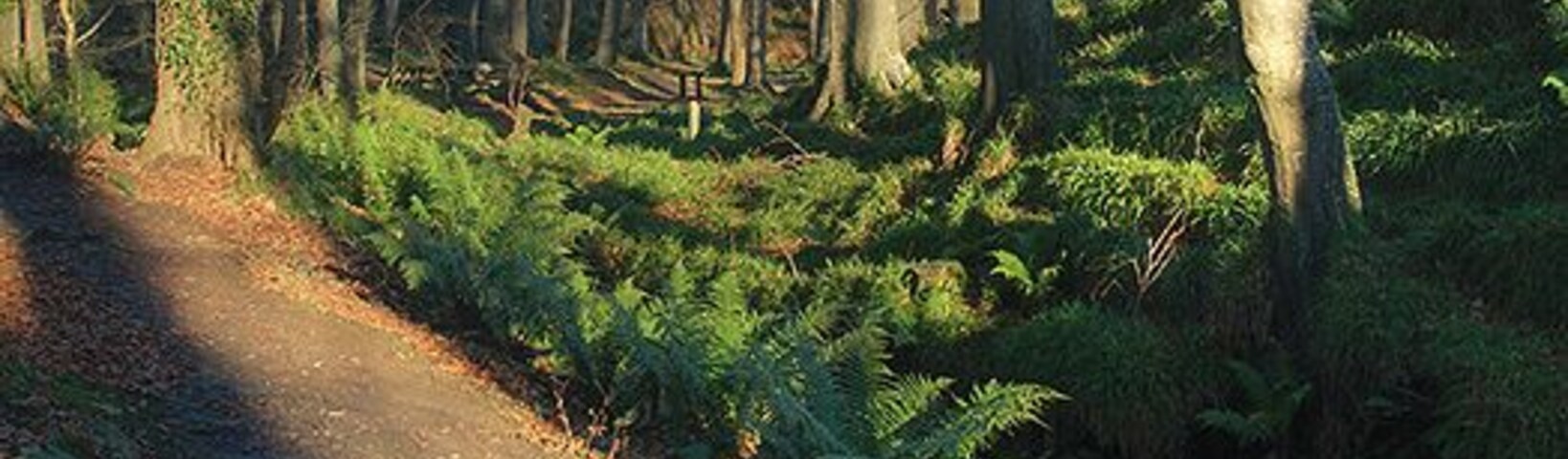 The footpath through Colby Glen A good path takes a safe route through this steep wooded gorge.