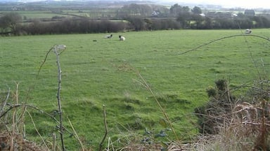 Lower Ballavarkish. Looking South from the B 40